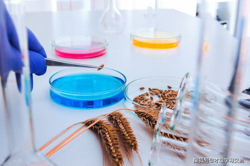 2022年上海理工大學846食品微生物學考研真題解析與生物學科備考策略